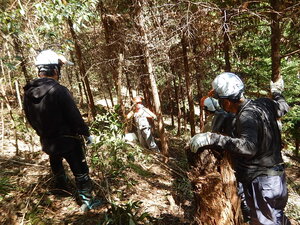 DSCN6487.JPG