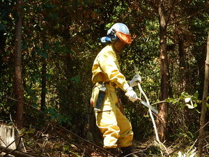 DSCN6507.JPG