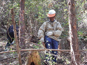 DSCN6515.JPG