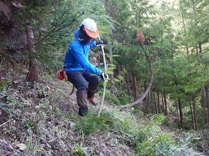 DSCN6546.JPG
