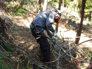 DSCN6554.JPG