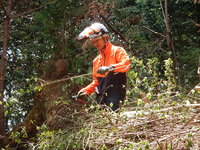 DSCN6737.JPG