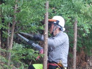 DSCN6749.JPG