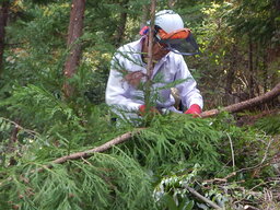 DSCN6757.JPG