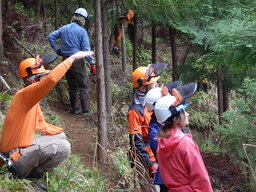 DSCN6958.JPG