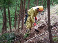 DSCN6978.JPG