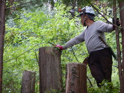 DSCN6988.JPG