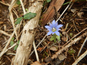 DSCN7148.JPG