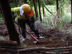 DSCN7154.JPG