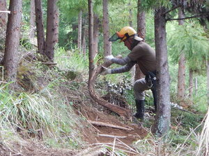 DSCN7158.JPG