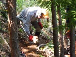 DSCN7201.JPG