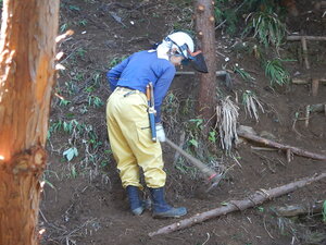 DSCN7207.JPG