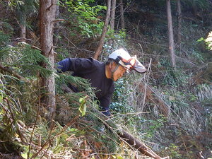 DSCN7212.JPG