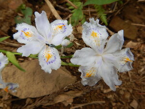 DSCN7299.JPG