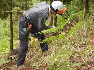 DSCN7309.JPG