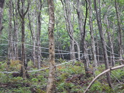 DSCN7352.JPG