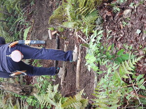 DSCN7409.JPG
