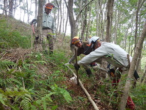 DSCN7514.JPG