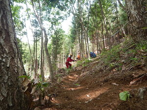 DSCN7538.JPG