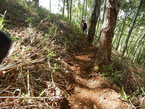 DSCN7563.JPG