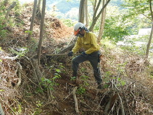 DSCN7568.JPG