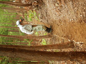DSCN7646.JPG