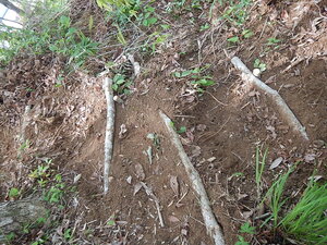 DSCN7669.JPG
