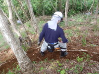 DSCN7680.JPG