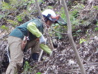 DSCN7693.JPG