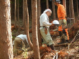 DSCN7706.JPG