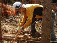 DSCN7712.JPG
