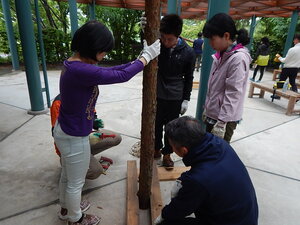 DSCN7728.JPG