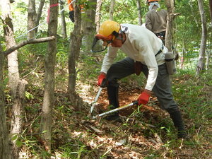 DSCN7887.JPG