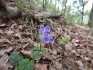 DSCN7910.JPG