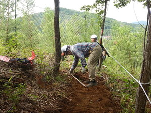 DSCN7972.JPG
