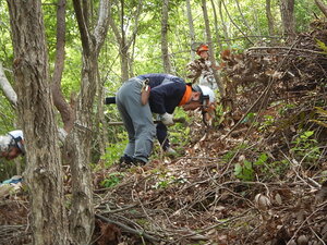 DSCN7974.JPG