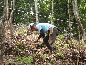 DSCN7982.JPG