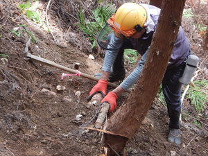 DSCN7989.JPG
