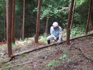 DSCN8014.JPG