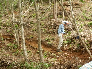 DSCN8026.JPG