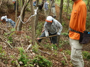 DSCN8030.JPG