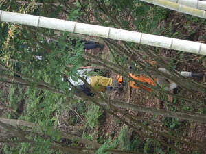DSCN8066.JPG