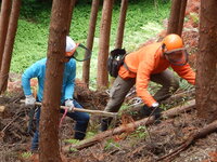 DSCN8086.JPG