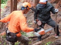 DSCN8092.JPG