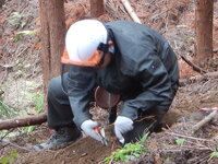 DSCN8094.JPG