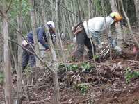 DSCN8128.JPG