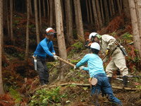 DSCN8143.JPG