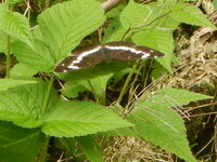 DSCN8153.JPG