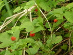 DSCN8156.JPG