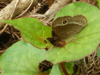 DSCN8157.JPG
